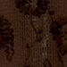 Chocolate Plum