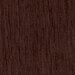 Chocolate Plum