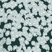 Dark Green/Blue